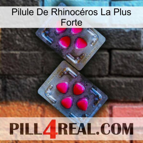 Pilule De Rhinocéros La Plus Forte 15
